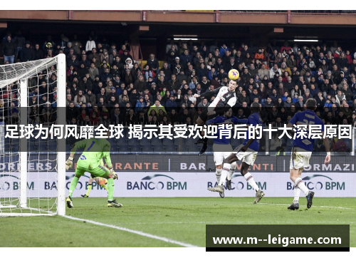足球为何风靡全球 揭示其受欢迎背后的十大深层原因